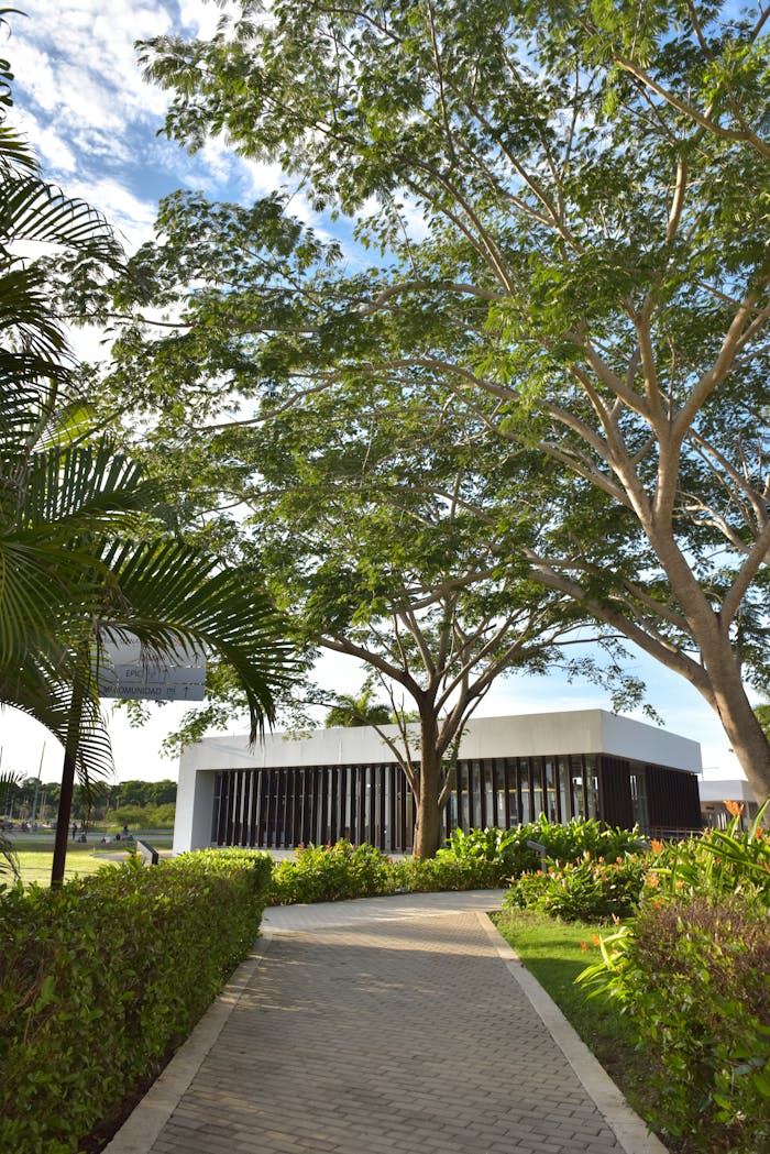 Contemporary architecture nestled among vibrant trees and plants, perfect summer ambiance.