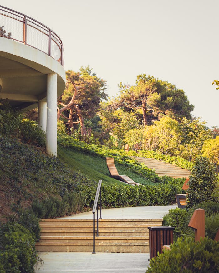 Peaceful outdoor stairs surrounded by lush trees and plants in a sunny afternoon.