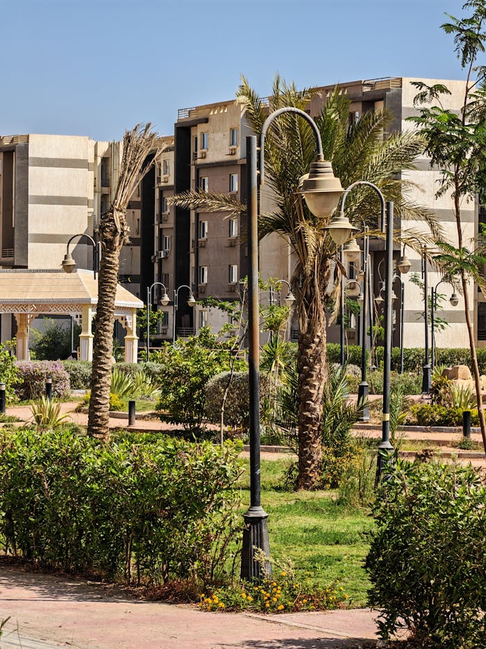 Lush green park featuring palm trees and modern apartment buildings under a clear sky.