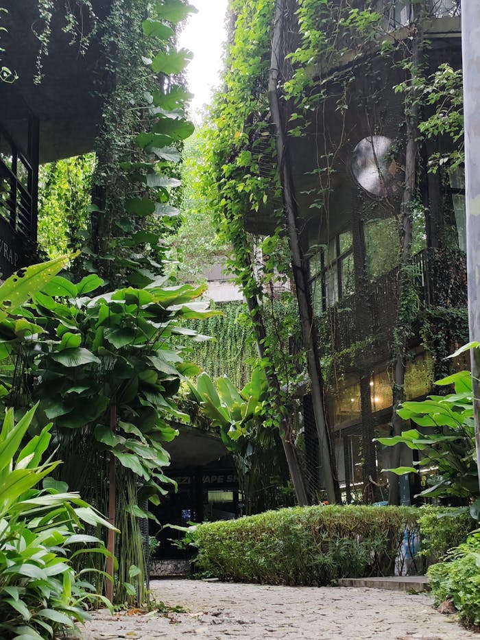 Green urban courtyard with dense vertical garden walls featuring tropical plants.